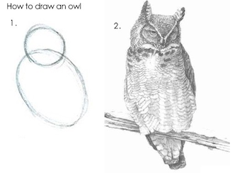 Meme for Draw the Owl two panels - first is a single cirlce and second is a photo-realistic owl